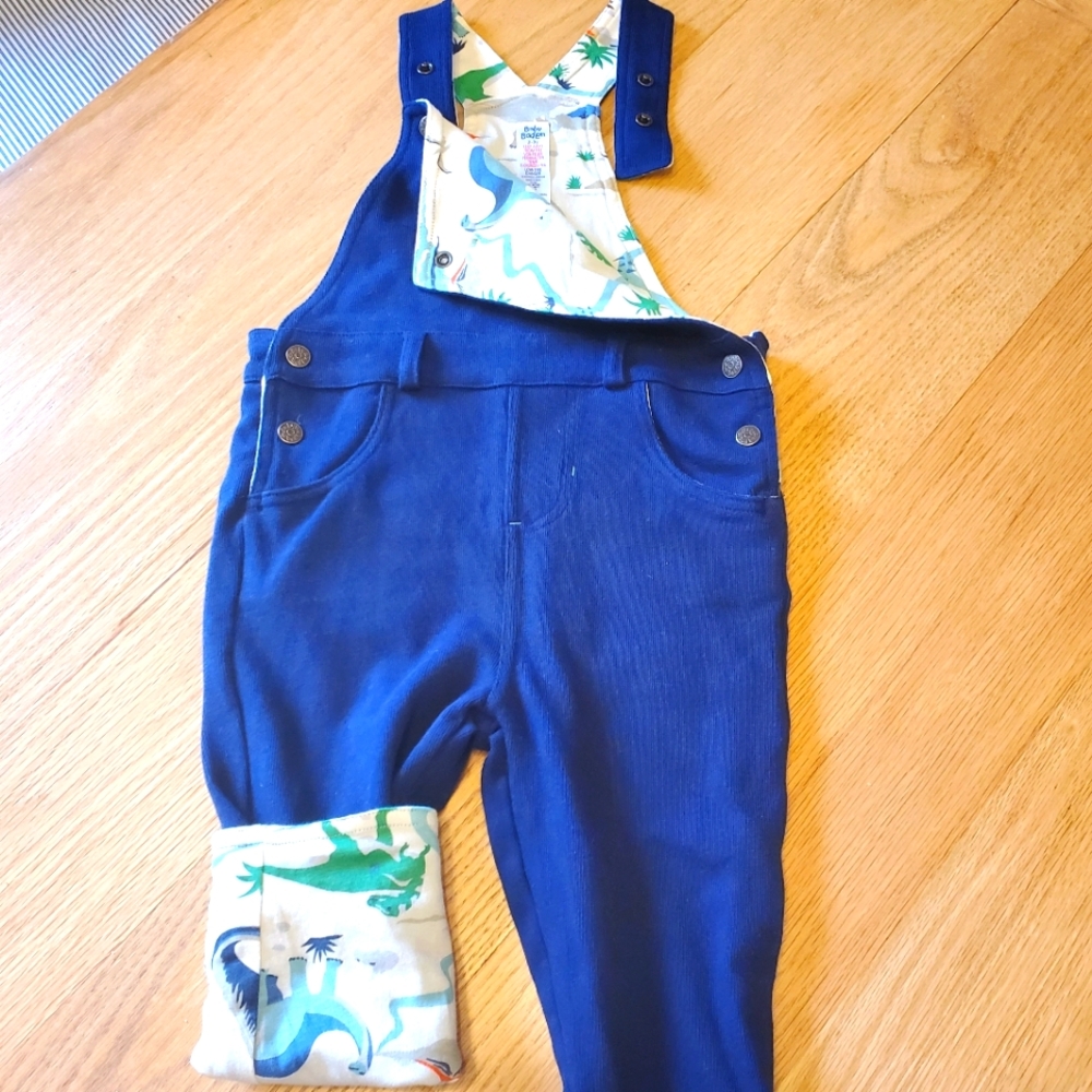 Dinosaur Overall